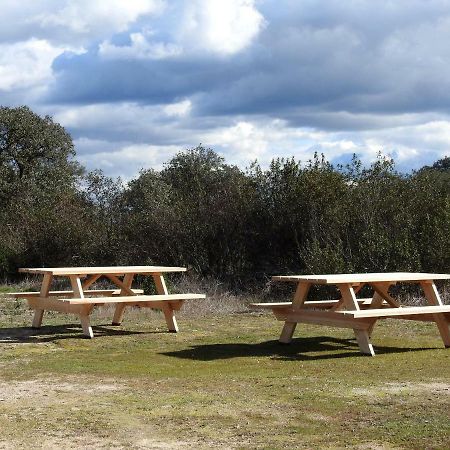 Bubulcus And Bolotas - Off Grid Nature Holiday Home Vimieiro  Exterior photo