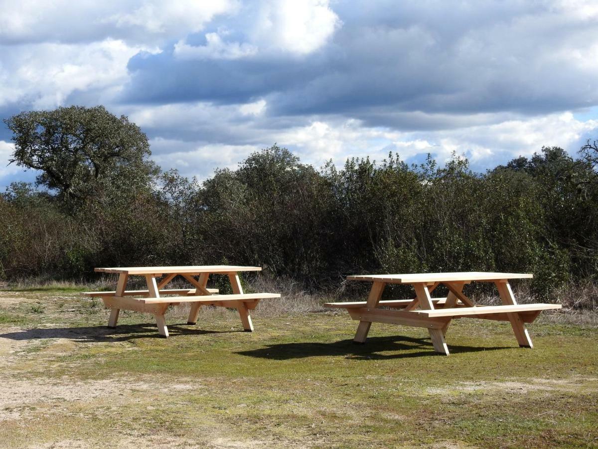 Bubulcus And Bolotas - Off Grid Nature Holiday Home Vimieiro  Exterior photo
