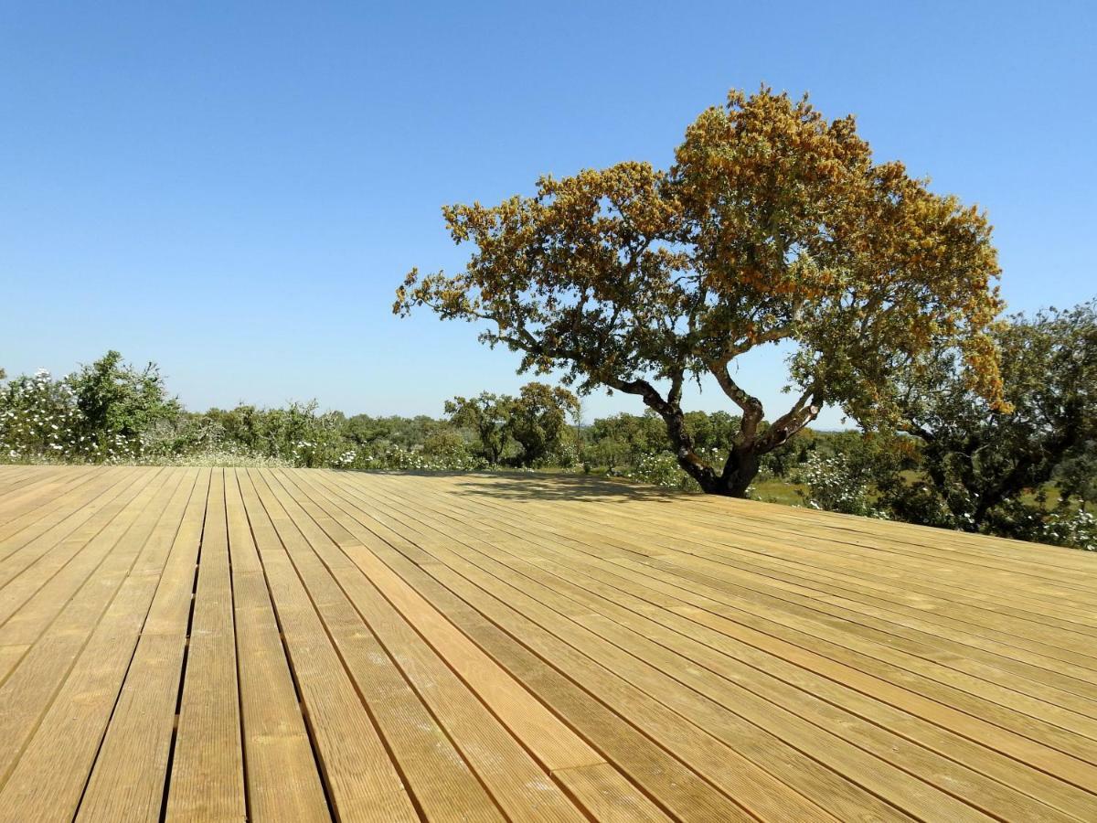 Bubulcus And Bolotas - Off Grid Nature Holiday Home Vimieiro  Exterior photo